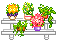 flower-shelves