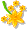 yellowflowers